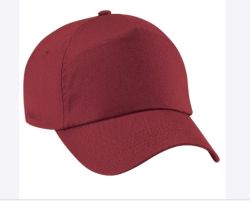 GORRA CON VISERA BORDADA INSTITUCIONES